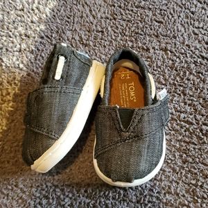 Baby toms